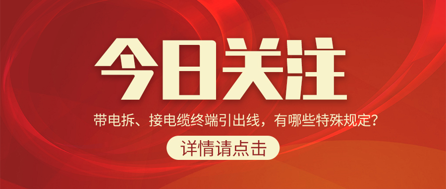 带电拆、接电缆终端引出线，有哪些特殊规定？